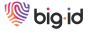 bigid menu
